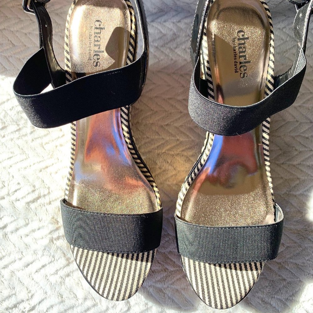 Charles by Charles David